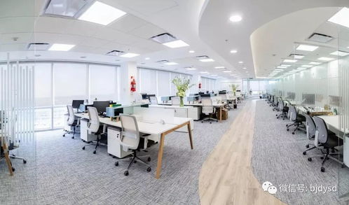 打破傳統(tǒng)刻板嚴(yán)肅印象,辦公場所也要小清新